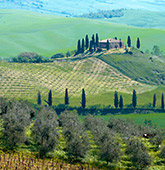 Singles-Solos Tuscany adventure